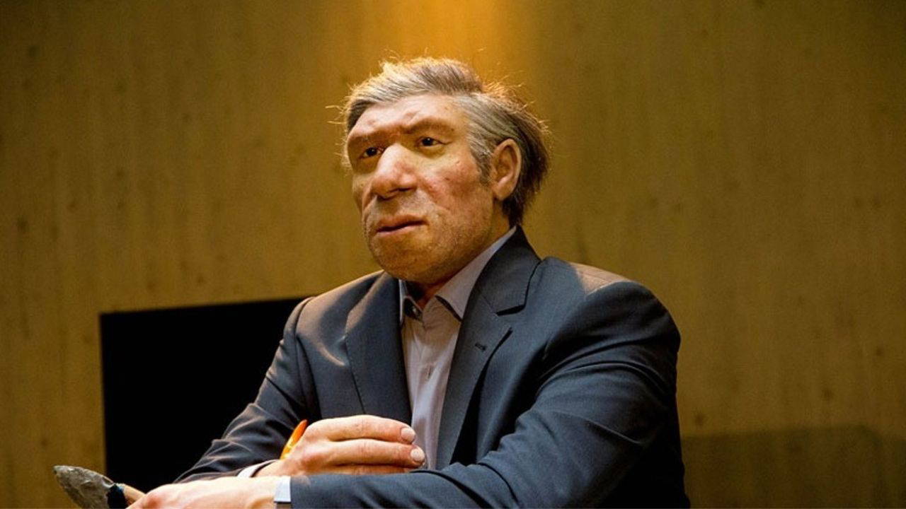 İnsanlık Tarihini Yönlendiren Genetik Keşif: Neandertal Mirasının Modern İnsanlar Üzerindeki Etkileri