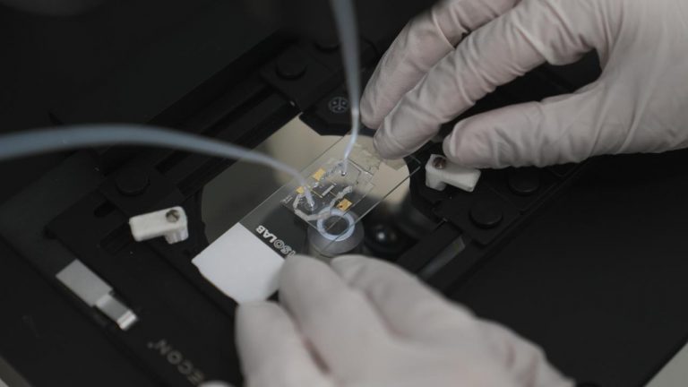 ODTÜ'nün çip merkezi sağlık açısından kritik 9 alanda yerli çip üretiyor