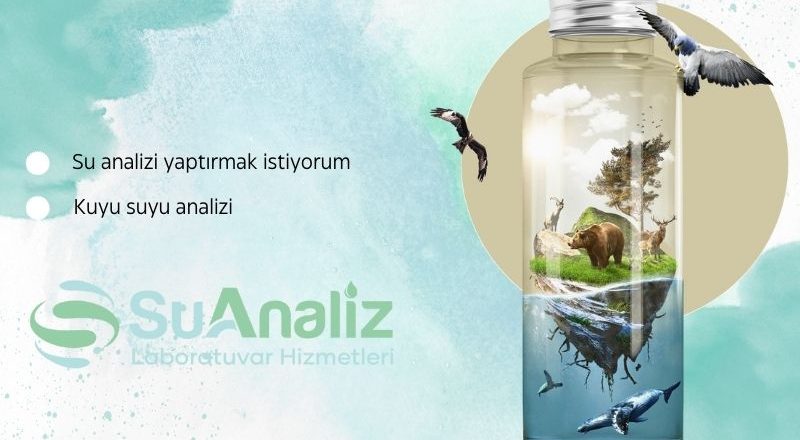 Su Analizi Yaptırmak İstiyorum: Hangi Kirleticilere Dikkat Etmeliyim?