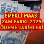 SGK 4A,4B emekli maaşı farkı ne zaman ödenecek? Ocak ayında mı yoksa Şubat ayında mı ödenecek? En düşük SSK, BAĞKUR emekli maaşı Resmi Gazete’de yayımlandı mı?