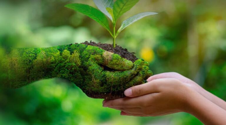 ÇED Raporu ve Çevre Danışmanlık Firmalarının Rolü