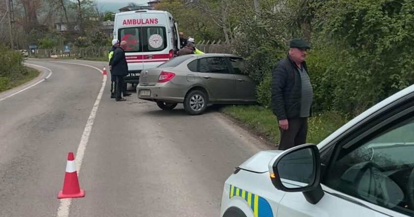 Sokak Köpeklerine çarpmamak için bir kaza geçirdi: 2 yaralı