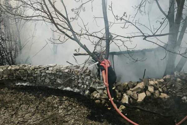 Kütahya'da Toz Ateşi: 100 tavuk yanarak öldü!