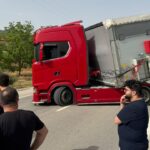 Bir arı yüzlerce insanı sokakta bıraktı