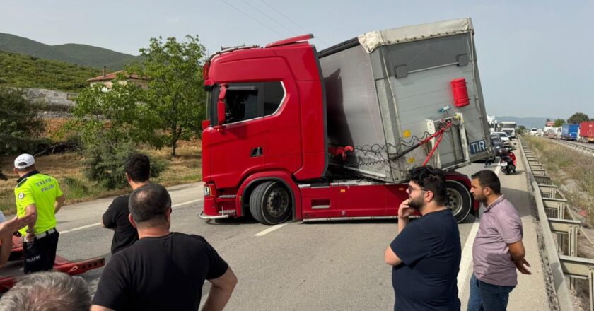 Bir arı yüzlerce insanı sokakta bıraktı