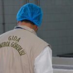 Ünlü Börekci kıyma eti besledi! Bakanlık listesinde halk sağlığını görmezden gelen şirketler: domuz eti, atlar ve eşekler, sakat et …