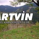 Doğanın kalbinde saklı sır: Artvin
