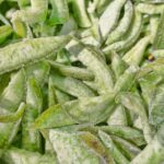 Göz sağlığında devrim: Retina için en etkili koruma!