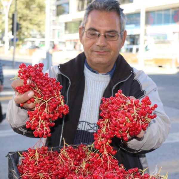 “Gençlik İksiri” Olarak Bilinen Meyve Tezgahları Süslemeye Başladı