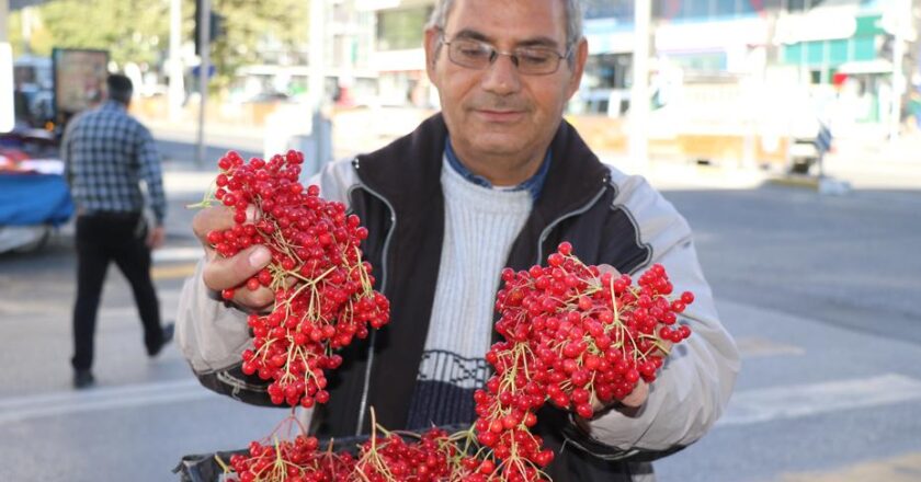 “Gençlik İksiri” Olarak Bilinen Meyve Tezgahları Süslemeye Başladı