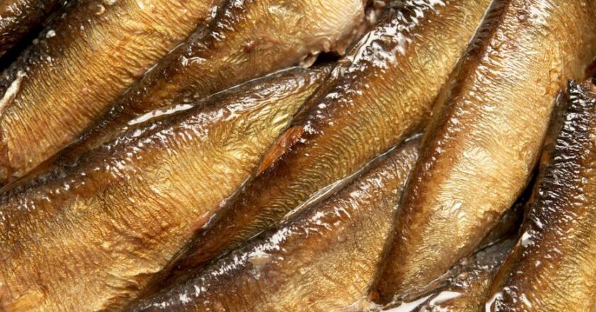 Hafızayı Güçlendiren 8 Vitamin: Beyin Yaşlanmasını Durduruyor!