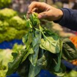 Ispanak zannedip yediler, 11 kişi hastaneye kaldırıldı, birinin durumu kritik!