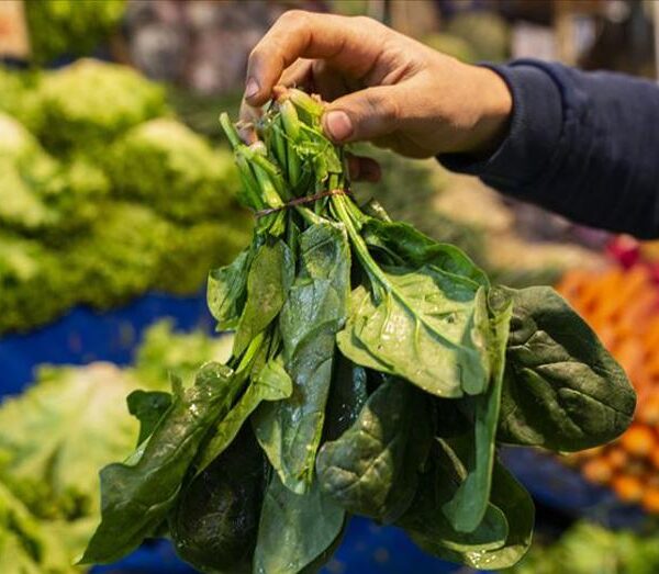 Ispanak zannedip yediler, 11 kişi hastaneye kaldırıldı, birinin durumu kritik!