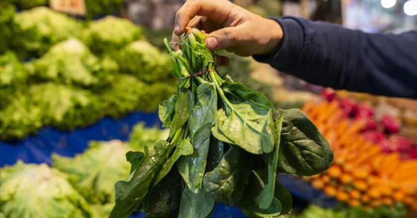 Ispanak zannedip yediler, 11 kişi hastaneye kaldırıldı, birinin durumu kritik!